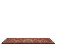 SECRET GEAR Carpet Diem XD-1 GEAR-P-XD-1 - 1483013 - zdjęcie 2